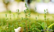 让时光更加有力量