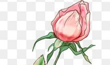 人生就像一朵含苞待放的花朵