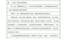 那一次我懂得了理解