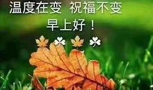 诗词，带给我快乐