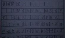 我的新发现作文400字