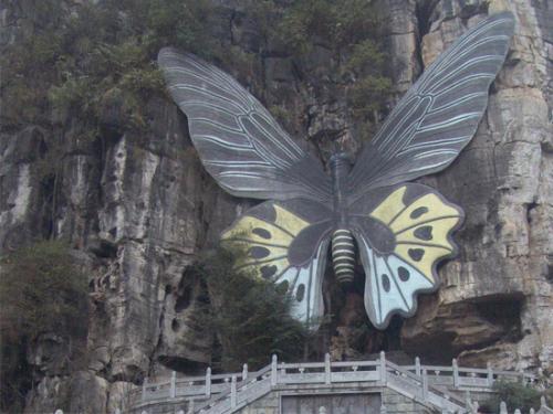 蝴蝶泉