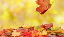 那个温暖的日子