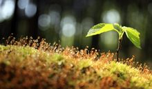 成长路上的失败