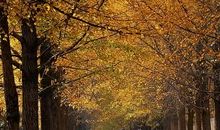 从此，不再孤独