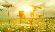 付出也是一种快乐