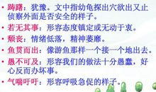 自然之道读后感