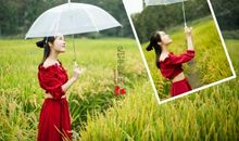 记忆中的那抹红