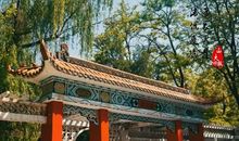 感谢那次失败的经历