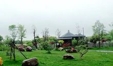 聆听春雨的声音