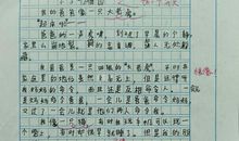 四年级上作文小小动物园