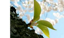 生命中的一缕阳光