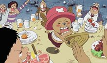 都是贪玩儿惹的祸