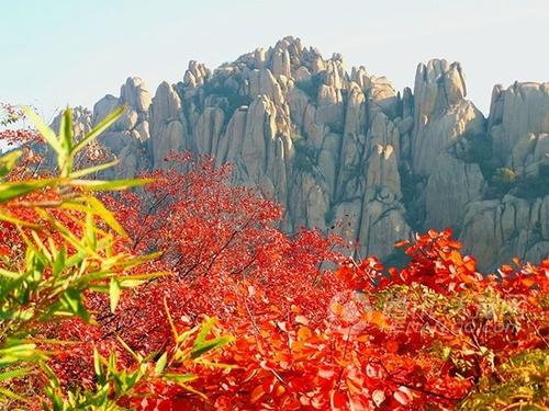 最美的风景