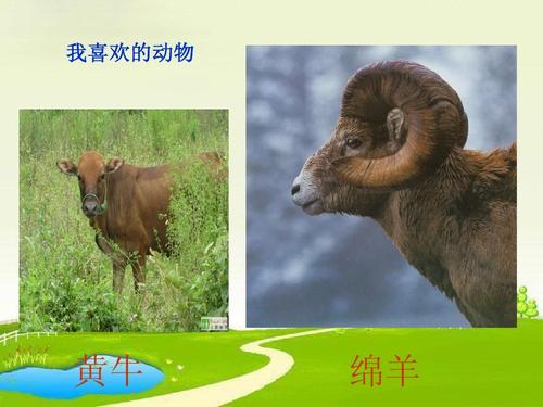 与动物交朋友200个单词