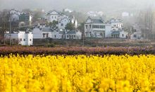 美丽的乡村景色