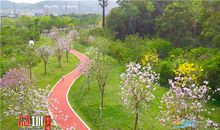 春天的公园真美