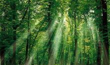 阳光照不到的地方