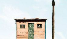 让自信之树开花