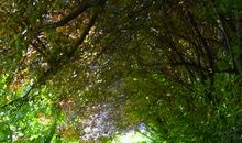 重见阳光的感觉真好