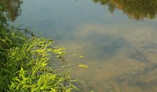 家乡小河的变化