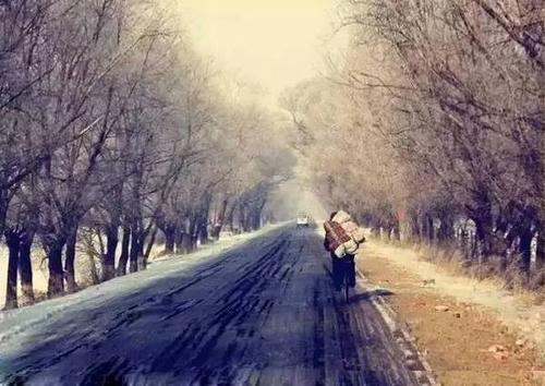 月光故乡路