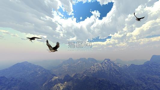 如果母鸡能在天上飞