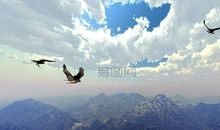 如果母鸡能在天空飞翔