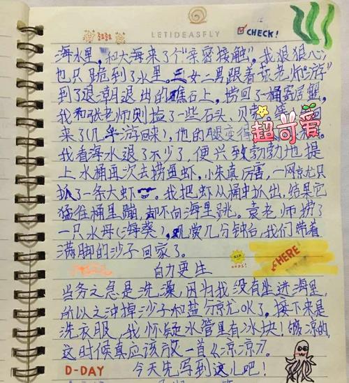 记住研究活动