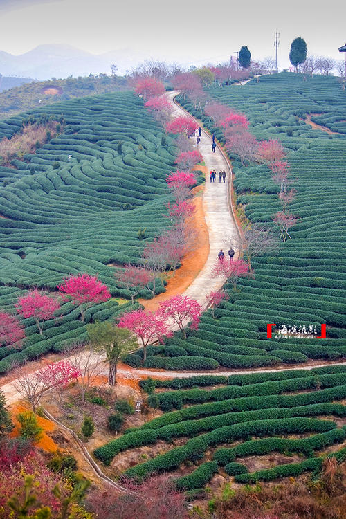 春天的Spring