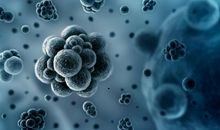 干干净净的黑暗