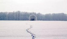 那一次，我读懂了母亲的泪