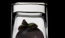 可怕的“山竹”台风