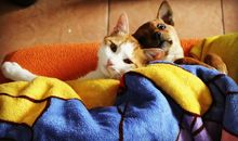 那一幕，我永远忘不了