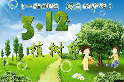 我们去种树