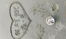 难忘那一次比赛