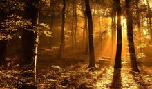 给阳光留些空隙