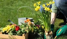 我教妈妈学种花