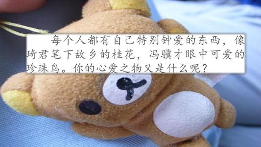 我最爱的东西