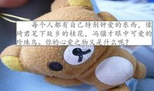 我的心爱之物——粉粉