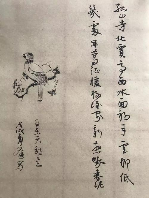 百度翁的感情