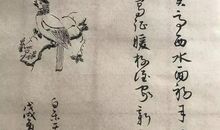 代悲白头翁读后感