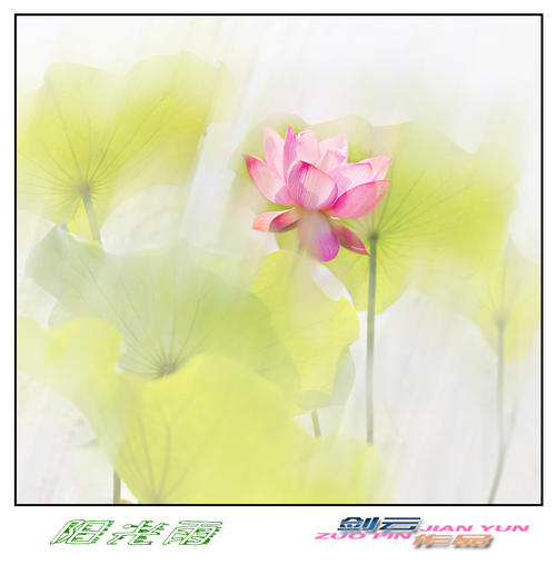 阳光下雨