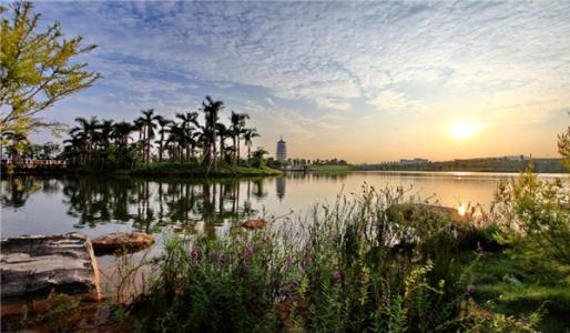 美丽的大象湖公园