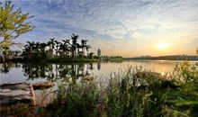 美丽的象湖公园