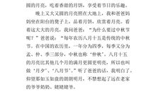 描写夜晚的作文