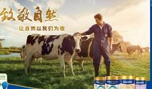 我在生活里寻找阳光