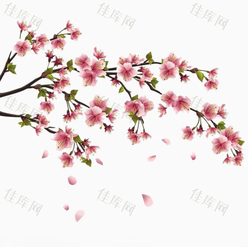 桃花
