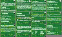 一次难忘的大队活动