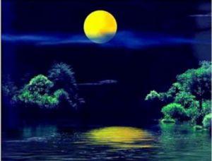 轻盈而潮湿的夜晚使我感动